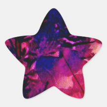 Tropical Evening Paradise