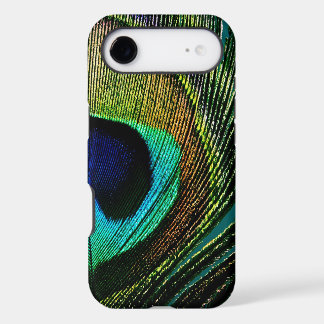 Tropical Exotic Peacock Feather Vibrant Summer