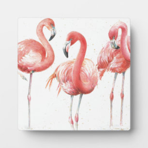 Tropical   Family of Flamingos Plaque