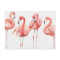 Tropical | Family of Flamingos