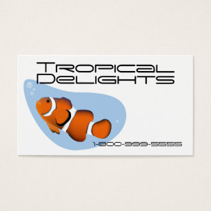 Tropical Fish