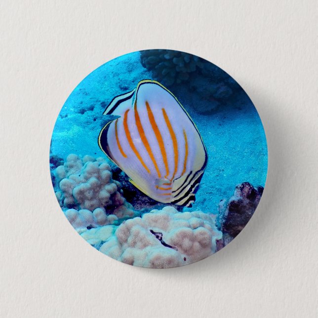 Tropical Fish 2 Inch Round Button (Front)