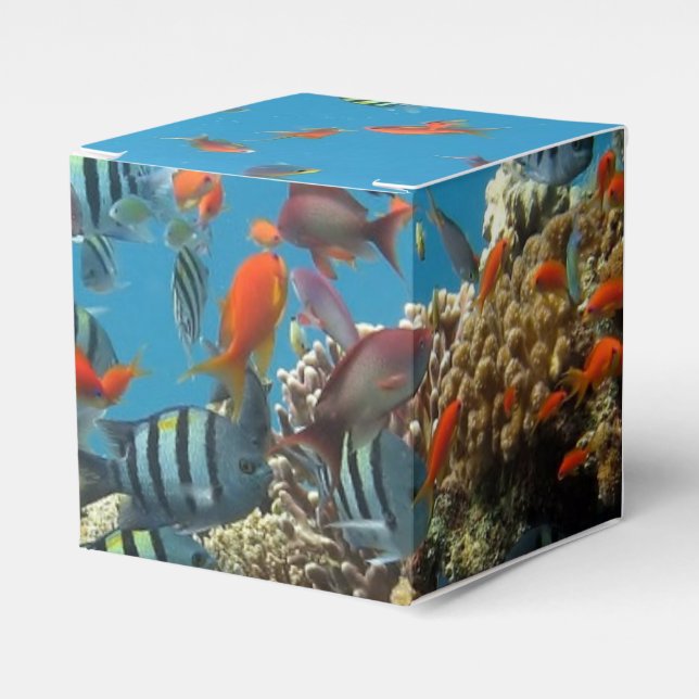 Tropical Fish Chaos Favor Box (Front Side)