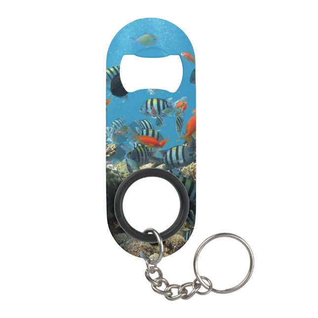 Tropical Fish Chaos Keychain Bottle Opener (Back)