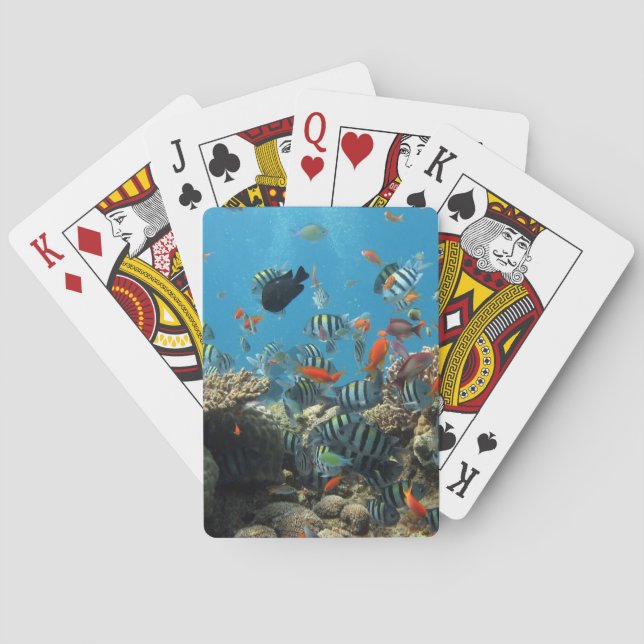 Tropical Fish Chaos Playing Cards (Back)