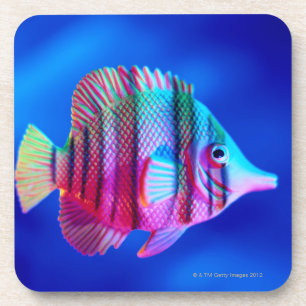 Tropical Fish Coaster