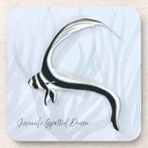 Tropical Fish Coasters