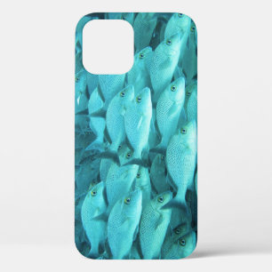 Tropical fish coral reef, marine life. iPhone 12 case