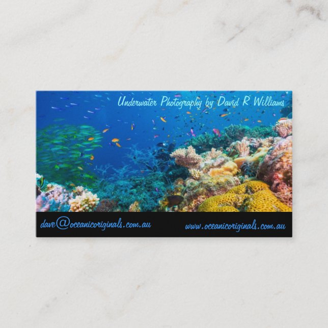 Tropical Fish Great Barrier Reef Coral Sea Business Card (Front)