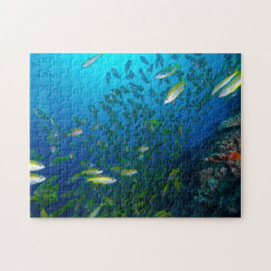 Tropical Fish Great Barrier Reef Coral Sea Jigsaw Puzzle