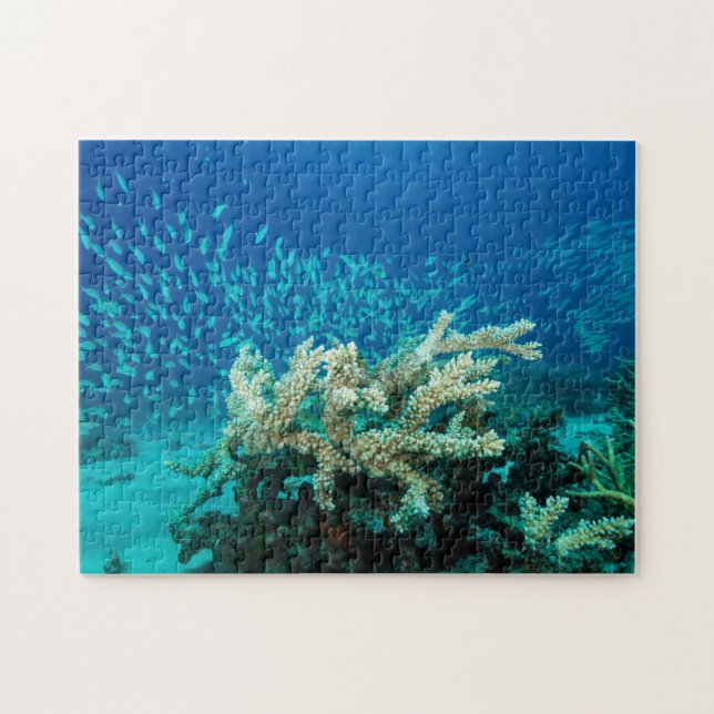 Tropical Fish Great Barrier Reef Coral Sea Jigsaw Puzzle (Horizontal)