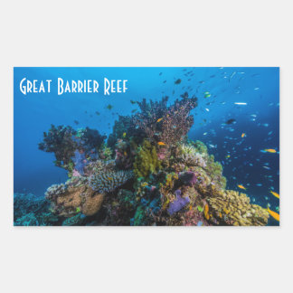 Tropical Fish Great Barrier Reef Coral Sea Sticker