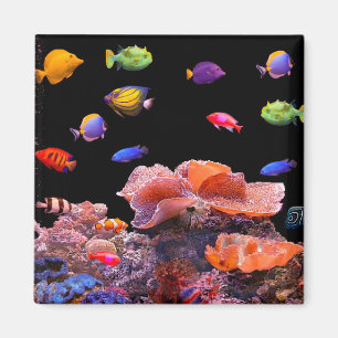Tropical Fish image for Square-Magnet Magnet