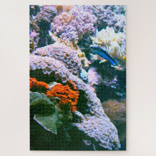 Tropical Fish in an Aquarium. Jigsaw Puzzle