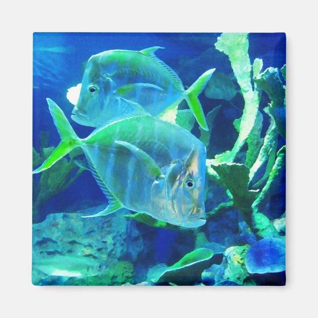 Tropical Fish in Blue Magnet (Front)