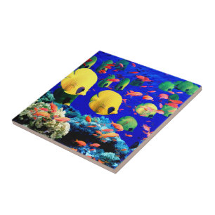 Tropical Fish in Coral Sea Tile