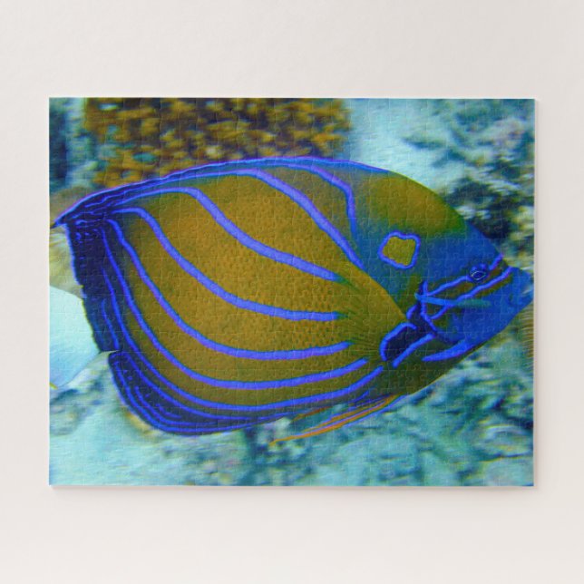 Tropical Fish Jigsaw Puzzle (Horizontal)