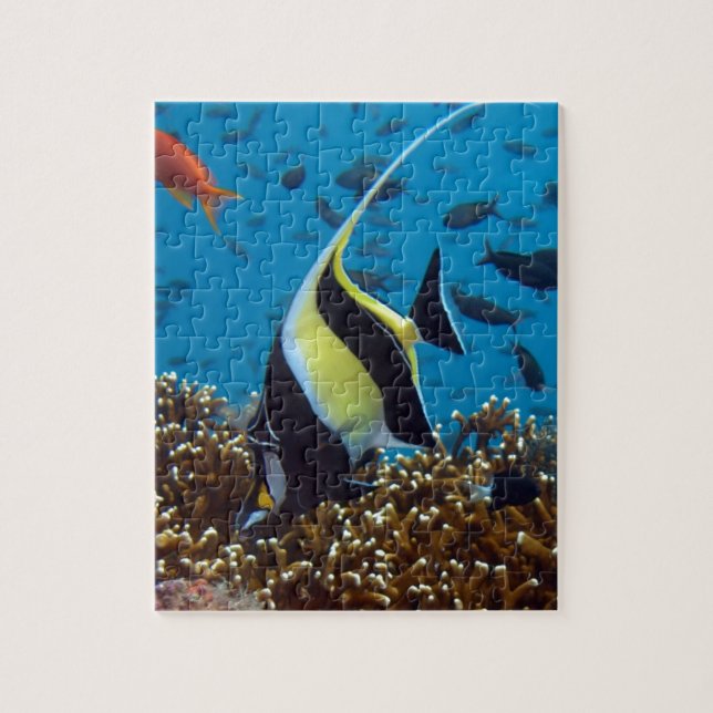 Tropical fish  jigsaw puzzle (Vertical)