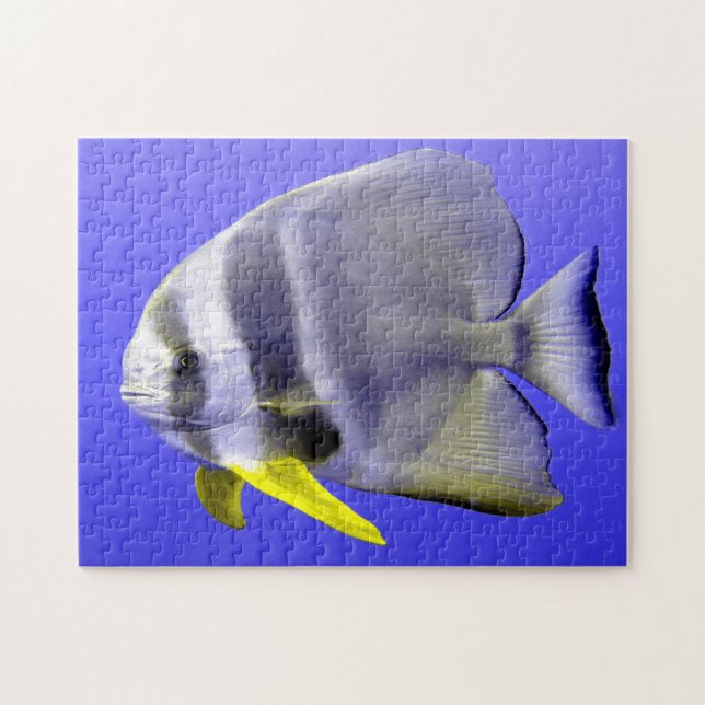 Tropical Fish Jigsaw Puzzle (Horizontal)