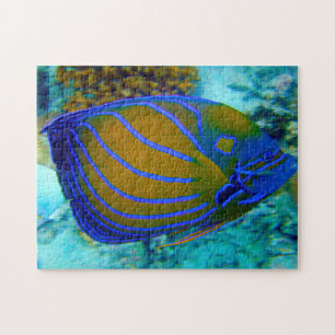Tropical Fish Jigsaw Puzzle