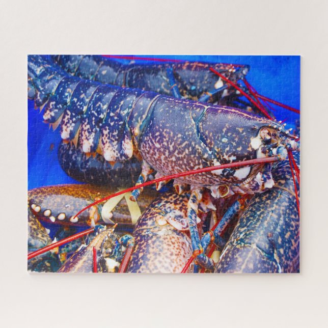 Tropical Fish Jigsaw Puzzle (Horizontal)