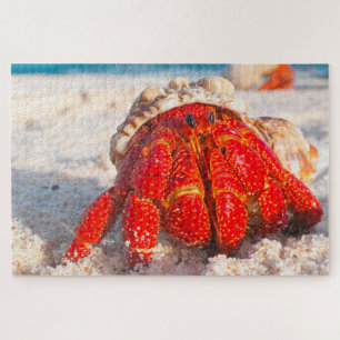 Tropical Fish Jigsaw Puzzle