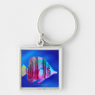 Tropical Fish Keychain