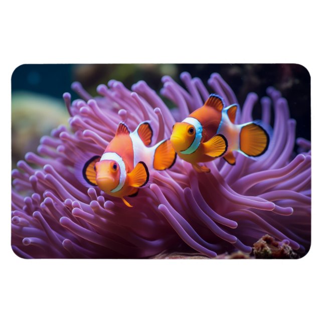 Tropical Fish  Magnet (Horizontal)