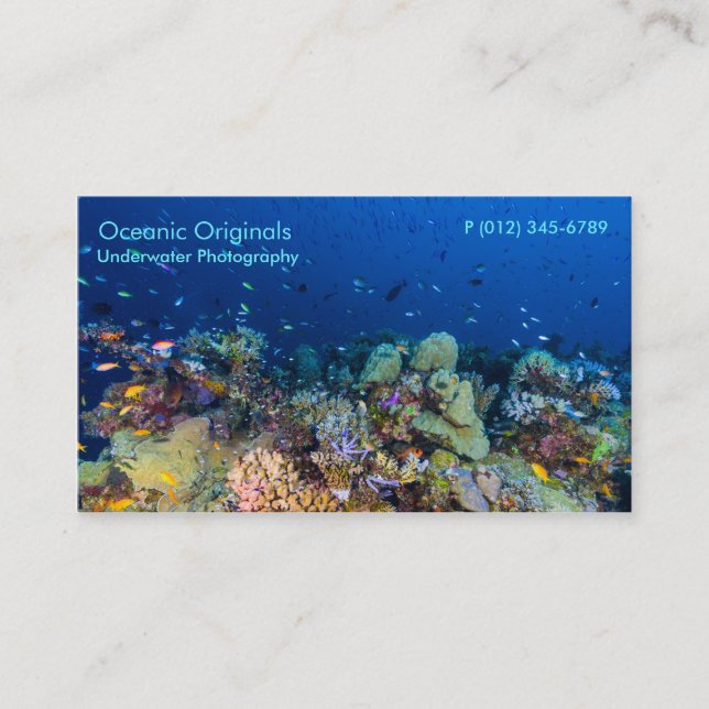 Tropical Fish of the Coral Sea Business Card (Front)