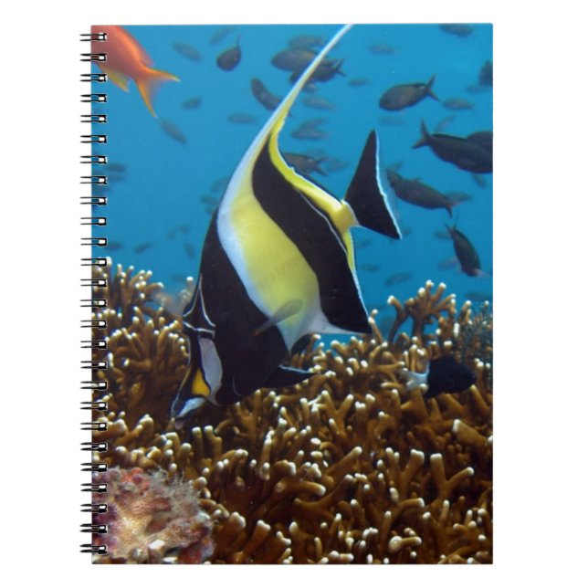 Tropical fish print gifts notebook (Front)