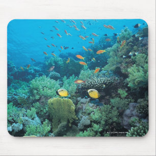 Tropical fish swimming over reef mouse pad