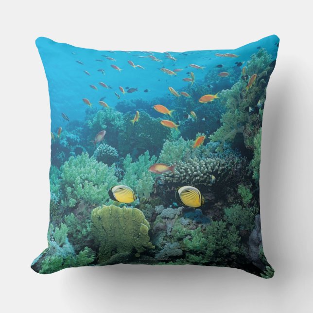 Tropical fish swimming over reef throw pillow (Front)