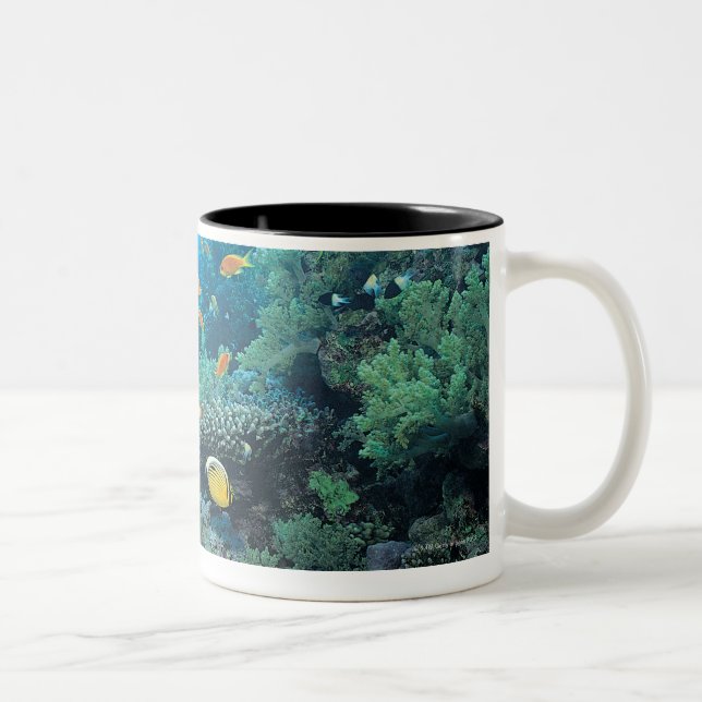Tropical fish swimming over reef Two-Tone coffee mug (Right)