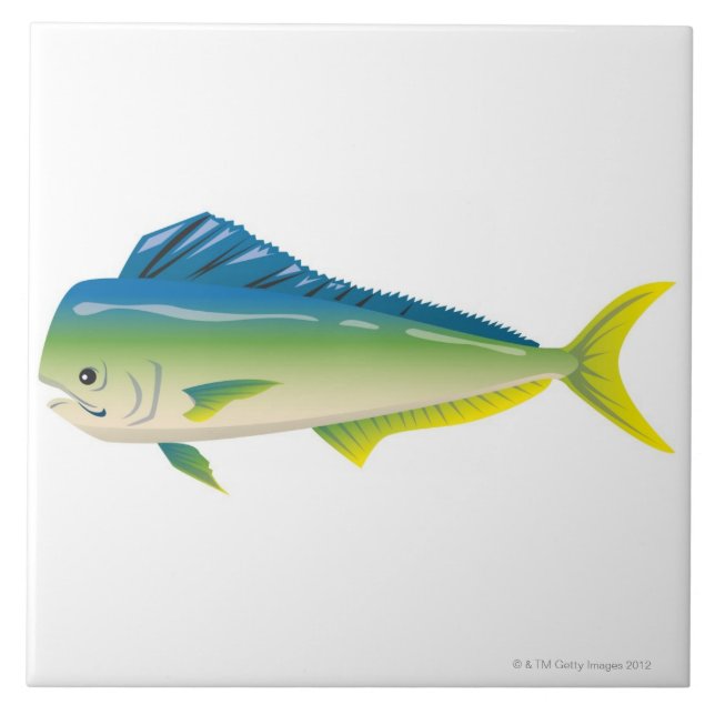 Tropical Fish Tile (Front)
