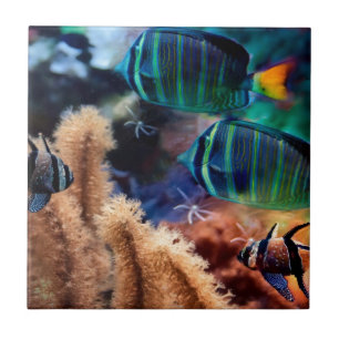 Tropical fish tile