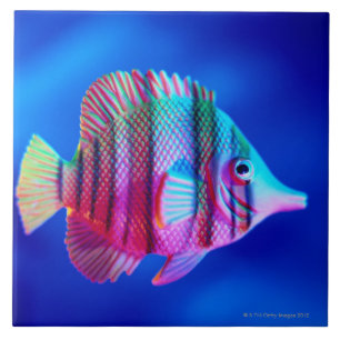 Tropical Fish Tile