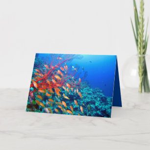 Tropical Fish Undersea Coral Reef Card