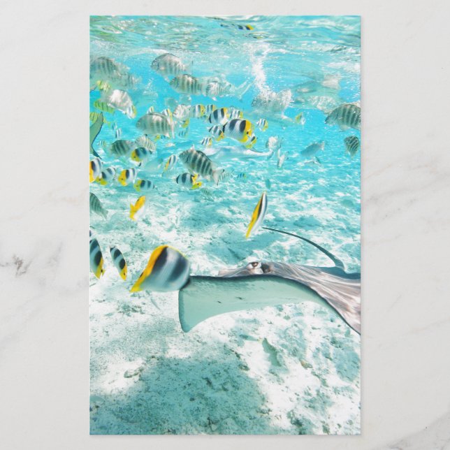 Tropical fishes stationery (Front)