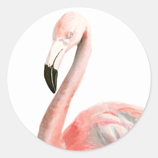 Tropical Flamingo Bird Classic Round Sticker (Front)