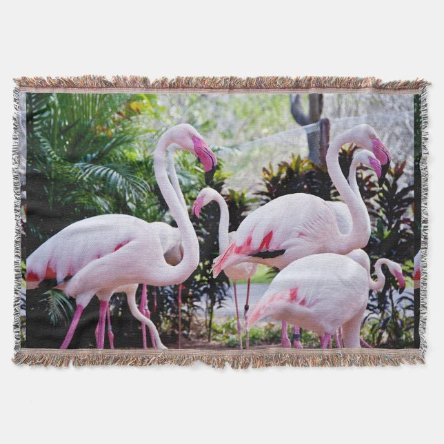  Tropical Flamingo Paradise Throw Blanket (“Bring the tropics home with these graceful flamingos.”)