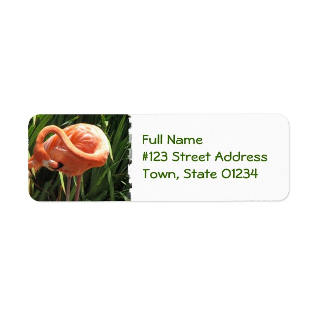 Tropical Flamingo Return Address Label (Front)