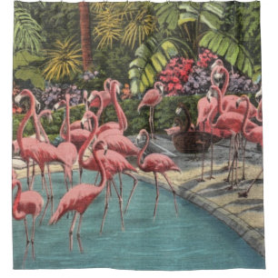 Tropical Flamingos