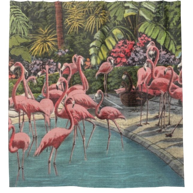 Tropical Flamingos (Front)