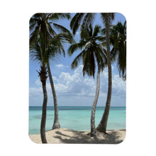 Tropical Flexible Magnet