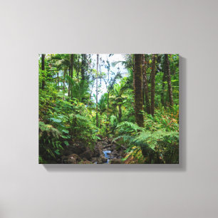 Tropical flora of el yunque rainforest canvas print