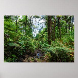 Tropical flora of el yunque rainforest poster
