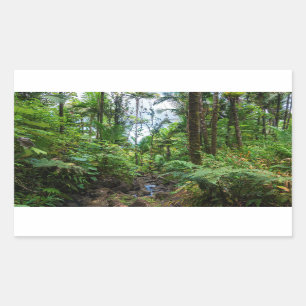 Tropical flora of el yunque rainforest sticker