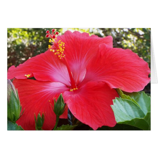 Tropical floral card