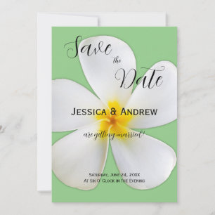 Tropical Floral, White Plumeria on Sage, Wedding Save The Date
