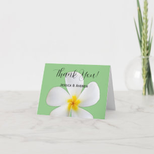 Tropical Floral, White Plumeria on Sage, Wedding Thank You Card